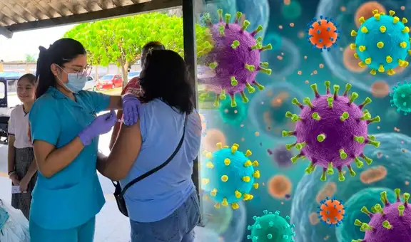 Influenza H3N2 subclado K en Perú: ¿cómo diferenciar el nuevo virus de una gripe común?