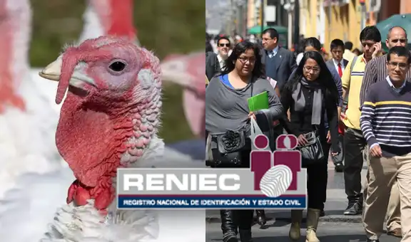Pavo, Guirnalda, Duende y Brindis: Reniec publica lista de nombres de peruanos inspirados en la Navidad