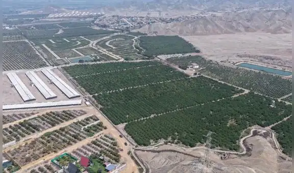 Eficaxx Grupo Inmobiliario alista inicio de proyecto en Huaral con inversión superior a US$7 millones