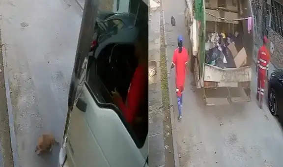 Perrito muere tras ser atropellado por camión de basura en SJL: municipalidad condenó el maltrato animal y separó a trabajadores