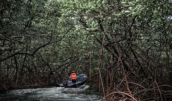 Panamá niega presencia constante del Clan del Golfo en la frontera, pero reporta "presión" de grupos colombianos