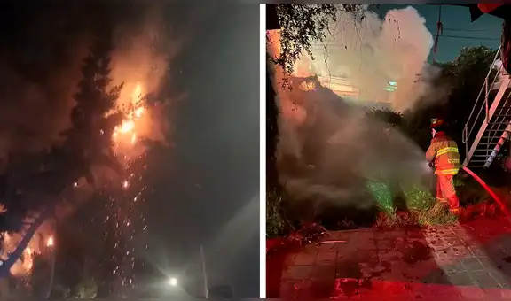 Nueve incendios se reportaron en el primer día de 2026 en Arequipa