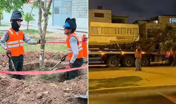 Vecinos del Callao protestan por el retiro de árboles para obras de la Vía Expresa Santa Rosa: “Los chalacos ya estamos cansados”