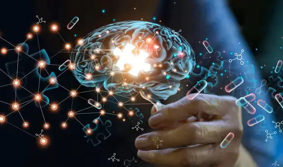 Una sustancia natural restauraría las funciones de la memoria afectadas por el Alzheimer: fue identificada en el cuerpo humano