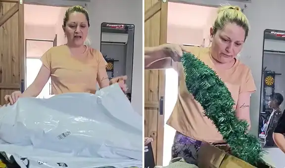 Mujer muestra el árbol navideño que compró en Temu durante noviembre y le llegó en enero: "Parece un perejil"