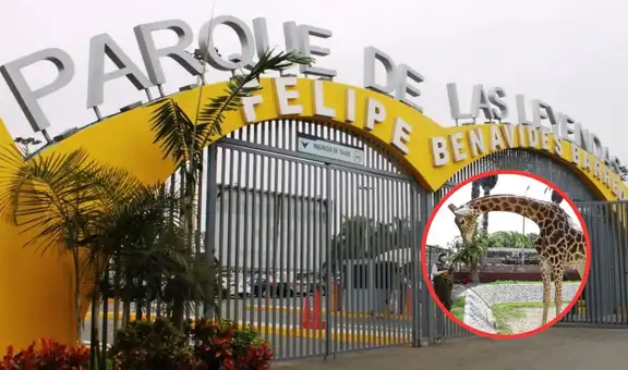 Parque de las Leyendas actualiza tarifas 2026: cuánto costará ingresar a sus sedes San Miguel y Huachipa