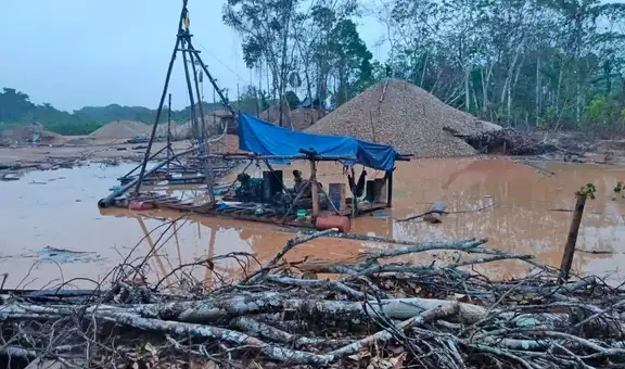 Destruyen 24 máquinas utilizadas para la minería ilegal en área natural protegida de Madre de Dios