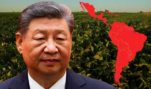 China supera a EE. UU. y realiza su primera compra histórica de 30.000 toneladas de harina de soja a un país de América Latina