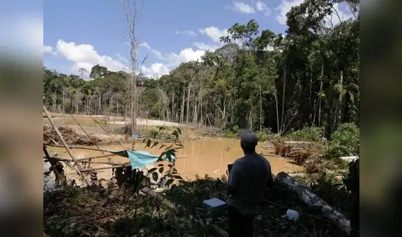 Mineros ilegales depredan la Reserva Natural Tambopata