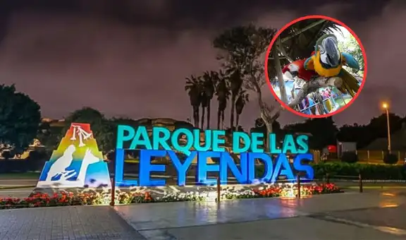 ¿Planeas visitar el Parque de las Leyendas? Conoce las tarifas actualizadas y quiénes tienen ingreso gratuito