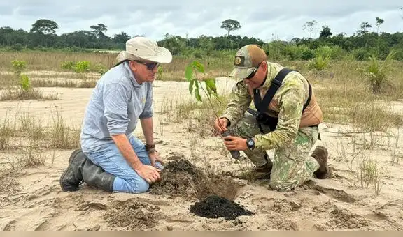Soldados siembran 40 mil árboles en reserva de Tambopata afectada por la minería ilegal