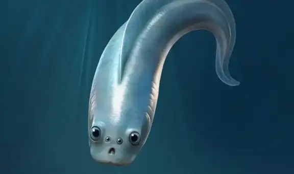 Científicos chinos hallan fósil de 518 millones de años que sugiere que los primeros vertebrados tenían cuatro ojos