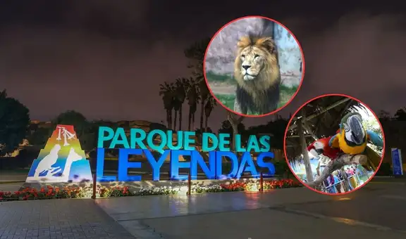 Parque de las Leyendas presenta “Aventura de Verano 2026” en febrero: programación y opciones para niños