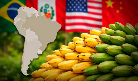 El país de América Latina que supera a Perú y Brasil con la mayor exportación de bananas, una fruta muy deseada por EE.UU. y China
