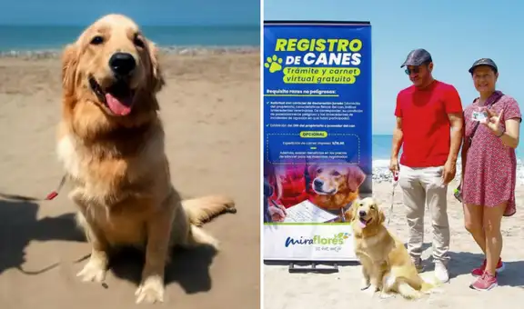 ¿DNI para mascotas? Municipalidad de Miraflores inicia nuevo registro municipal y presenta al primer perro inscrito