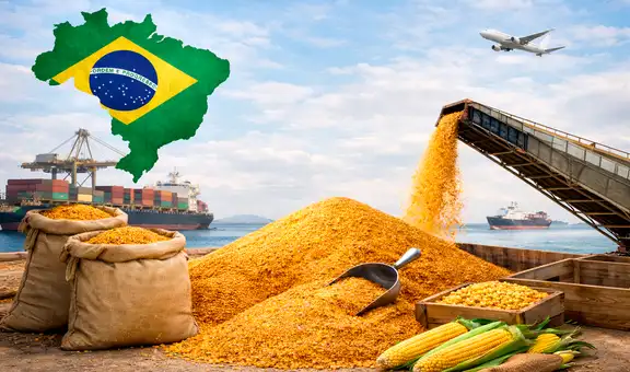 Brasil alista histórica exportación a China de este producto altamente codiciado por Estados Unidos y Japón