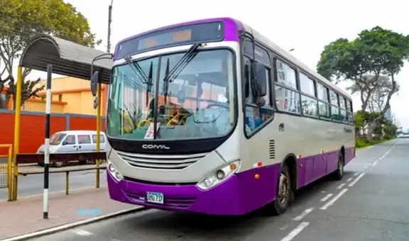 Corredor Morado prepara ampliación en su servicio regular: este sería su nuevo paradero final