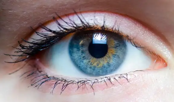 Científicos descubren que una bacteria común en los ojos estaría relacionada con el avance del Alzheimer y demencia