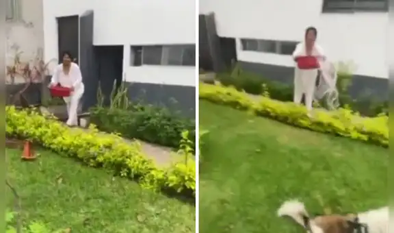 Mujer lanza agua con lejía a joven que paseaba a sus perros en parque de La Molina: “No le gusta que los animales pasen frente a su casa”