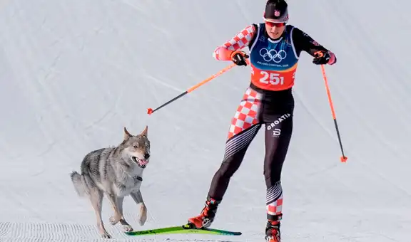 Perro lobo irrumpió en los Juegos Olímpicos 2026: burló los dispositivos de seguridad y cruzó la meta