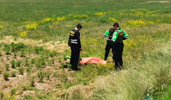 Encuentran sin vida a un hombre en sembrío de papas en Juliaca: investigan presunto atropello