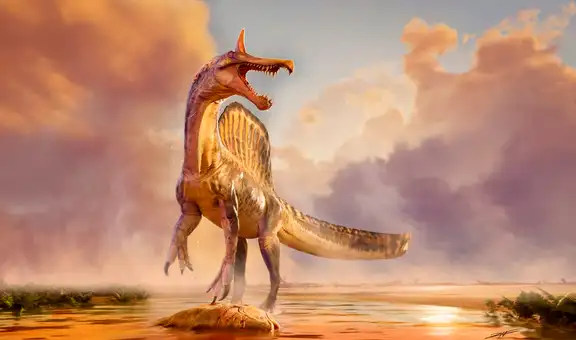 Un descubrimiento “maravilloso” en el Sáhara: una nueva especie de dinosaurio de 13 metros con una cresta de colores