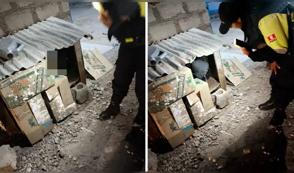 Tacna: rescatan a menor de 11 años que dormía en una casa de un perro