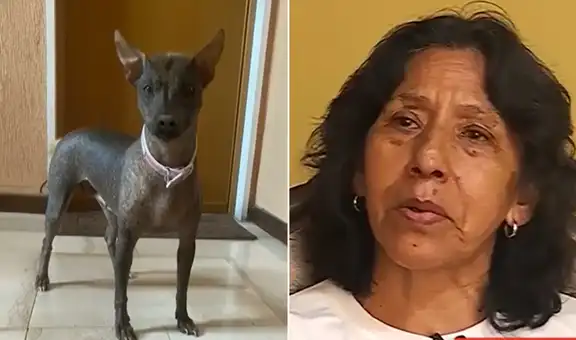 Tras la muerte de su hija embarazada en Egipto, madre peruana busca traer de vuelta a su mascota: "Es parte de nuestra vida"