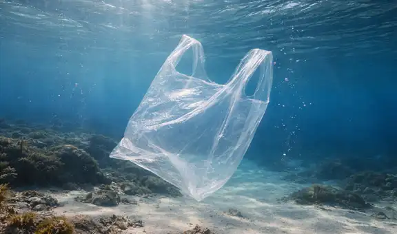 Científicos crean un plástico transparente hecho con plantas capaz de reducir la contaminación marina sin dejar residuos tóxicos