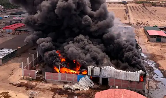 Gigantesco incendio destruye planta de olivo en La Yarada, Tacna: siniestro dejó dos heridos y pérdidas de más de S/500.000