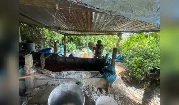 Desmantelan 155 narco laboratorios en distintas regiones del país