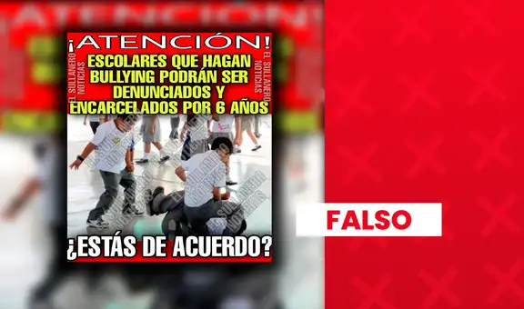 Es falso que los escolares que hagan bullying a sus compañeros puedan ir a la cárcel por 6 años
