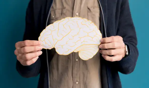 Científicos descubren que la inflamación en el sistema digestivo puede acelerar la pérdida de la memoria