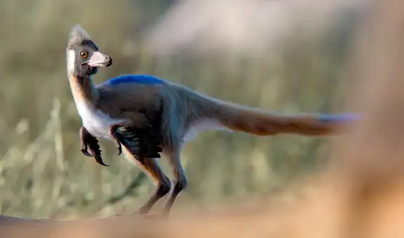 Descubren en Argentina un pequeño dinosaurio de 90 millones de años que aclara un misterio evolutivo