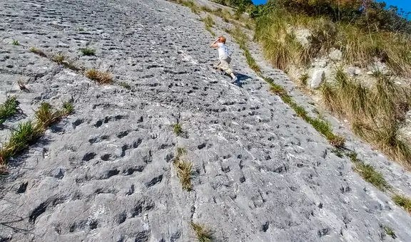 Unos escaladores italianos descubrieron por accidente pruebas de una estampida de tortugas marinas de hace 80 millones de años
