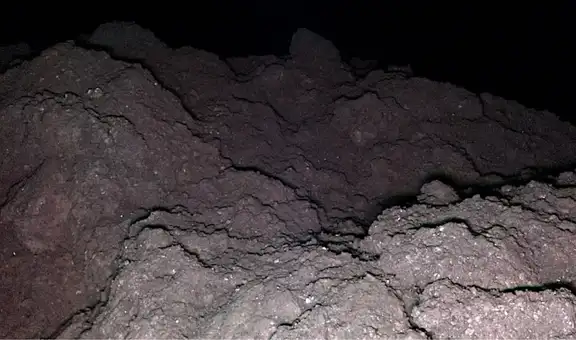 La vida podría tener origen espacial: descubren en el asteroide Ryugu los 5 componentes genéticos clave para la biología