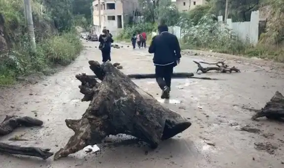 Transportistas de carga pesada suspenden paro indefinido en Ayacucho tras acuerdo de 10 días con el Gobierno Regional