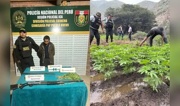 Esclavos de la marihuana: Mafias del Vraem reclutan agricultores para cultivar cannabis