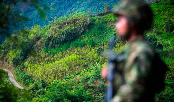 Ejercito de Colombia rescató en la selva a cinco niños ocultos para no ser reclutados por las FARC