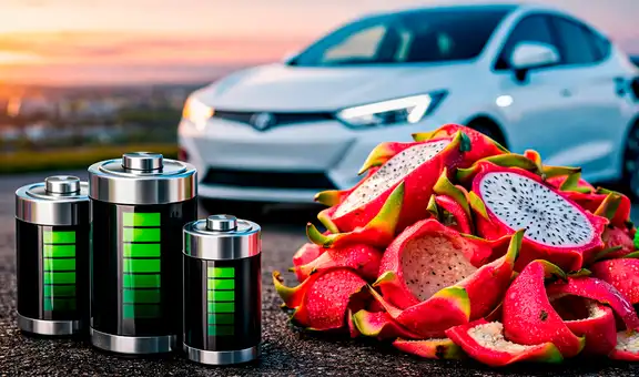 Científicos chinos logran convertir cáscaras de pitahaya en un elemento clave para las baterías de autos eléctricos y aeronaves militares