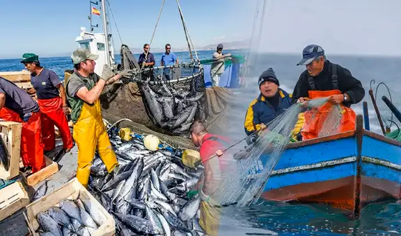 Exportaciones pesqueras para consumo humano directo crecen 125.1% en enero