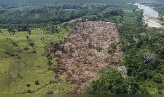 Expertos advierten que agenda ambiental sigue relegada en pleno proceso electoral