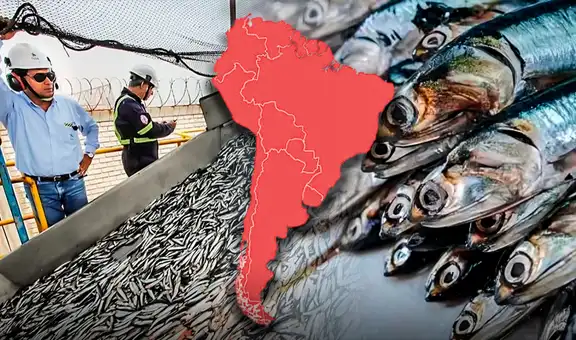 Este país de América Latina destaca como el mayor productor de pescado en el mundo junto a China: supera a EE.UU. y Rusia