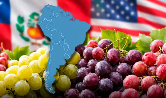 Junto a China, un país de América Latina lidera la producción de uvas en el mundo y supera 2 veces a Perú, Chile y EE.UU.