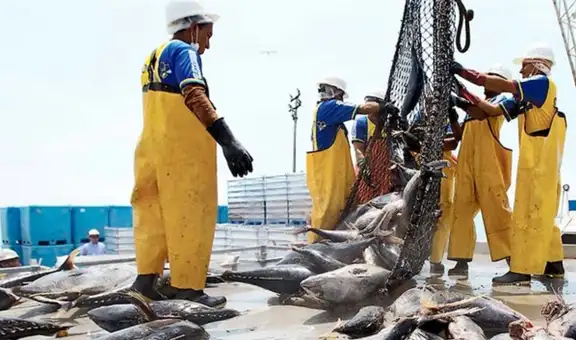 SBS fija nuevas reglas para la jubilación de trabajadores pesqueros afiliados al SPP