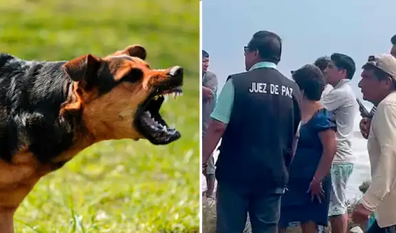 Investigan muerte de pescador por presunto ataque de 12 perros en la playa de Santiago de Car en La Libertad