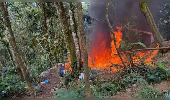 El Ejército destruyó un laboratorio con más de 360 kilos de cocaína y 8 toneladas de insumos