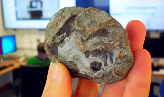 Científicos descubren un huevo de 250 millones de años que resuelve uno de los mayores misterios de la evolución