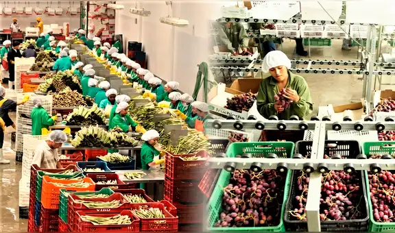 Perú: agroexportaciones suman US$2.220 millones en enero y febrero y crecen 6,7%
