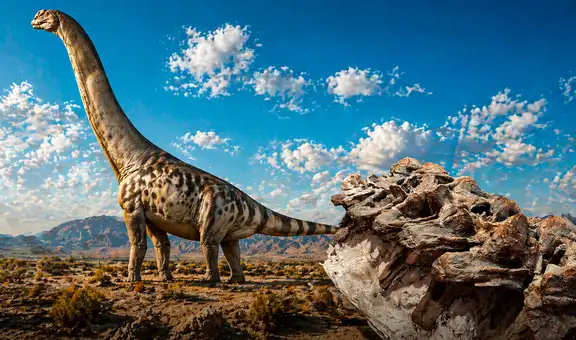Científicos hallan una nueva especie de dinosaurio de cuello largo que vivió hace 160 millones de años en un país de Sudamérica
